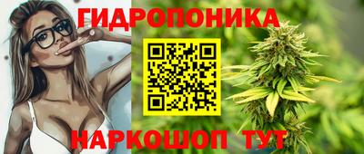 стафф Берёзовский