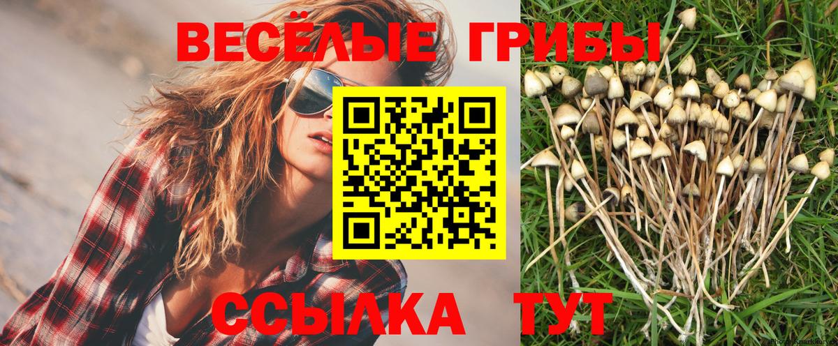 Галлюциногенные грибы мухоморы  Вход с VPN  Псилоцибиновые грибы Magic Shrooms  Калуга 