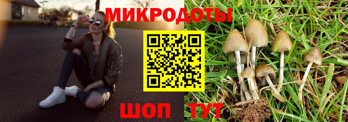 Псилоцибиновые грибы мицелий Калуга